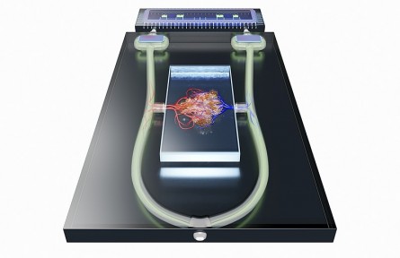 科技名詞|介電電泳 dielectrophoresis；DEP