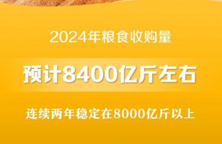 2024年糧食收購量預(yù)計8400億斤左右